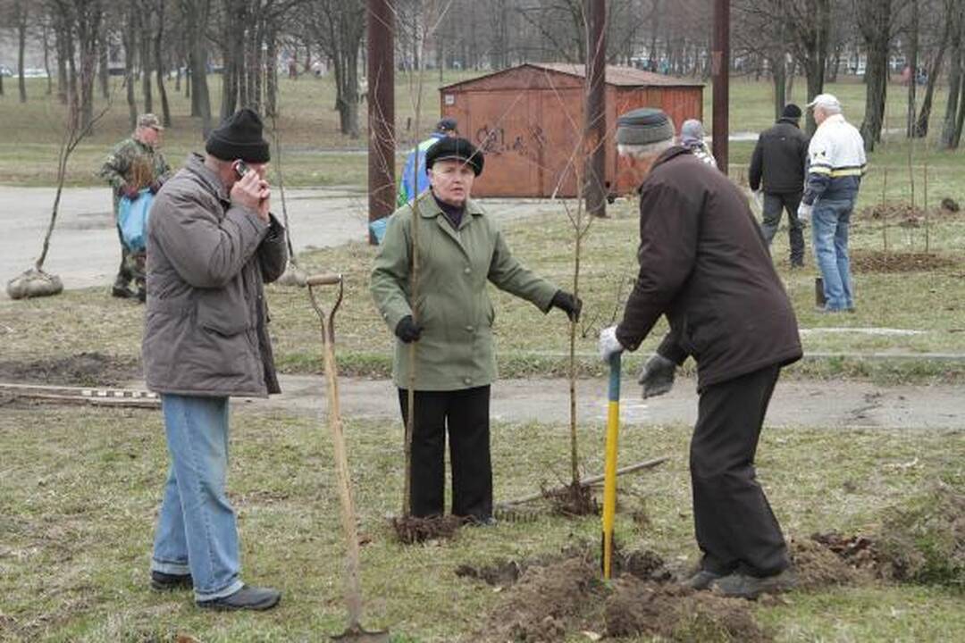 Klaipėdiečiai mieste pasodino medelių