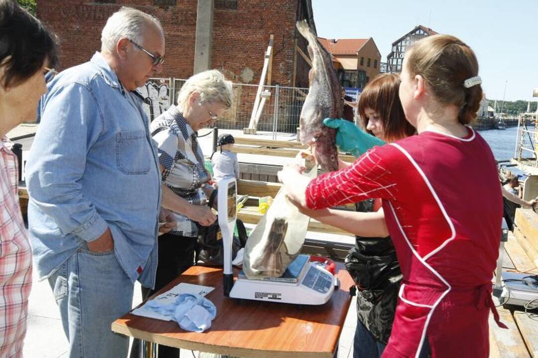 Klaipėdiečiai graibstė menkes