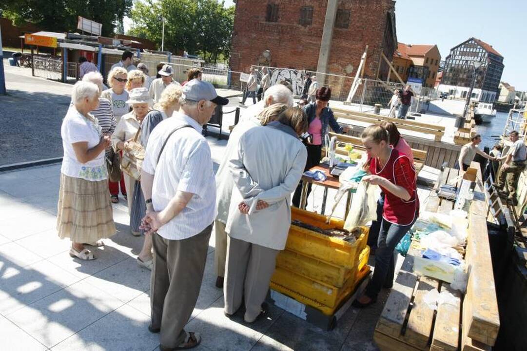 Klaipėdiečiai graibstė menkes