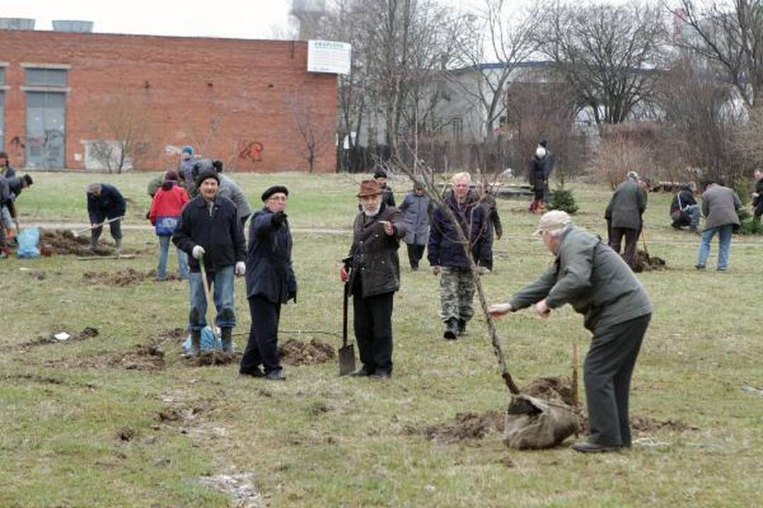 Klaipėdiečiai mieste pasodino medelių