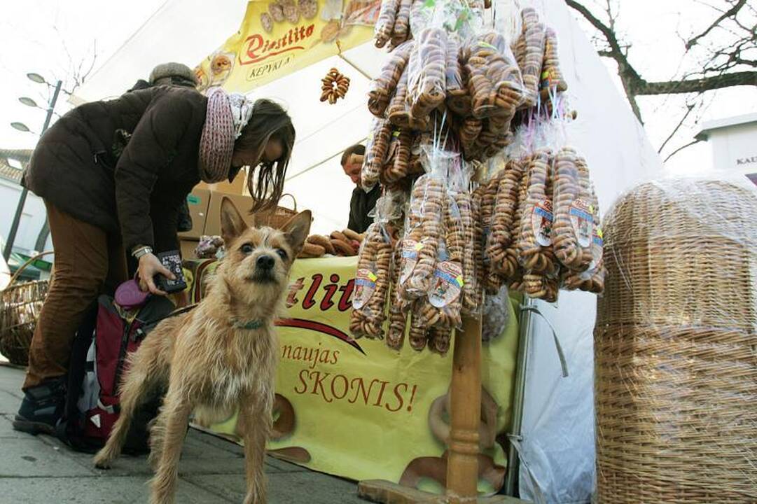 Vaišės Kazimierams: penkias paras marinuotas paršelis ir šakočiai