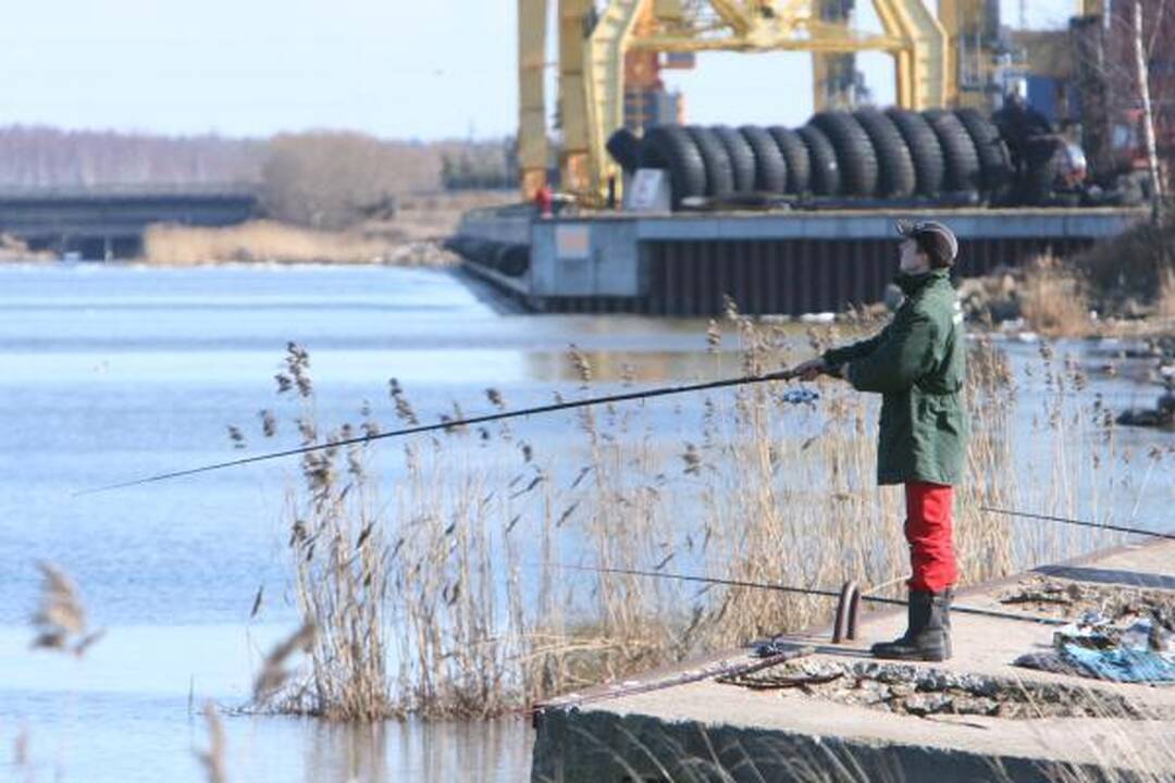 Žvejoti norima ir Malkų įlankoje