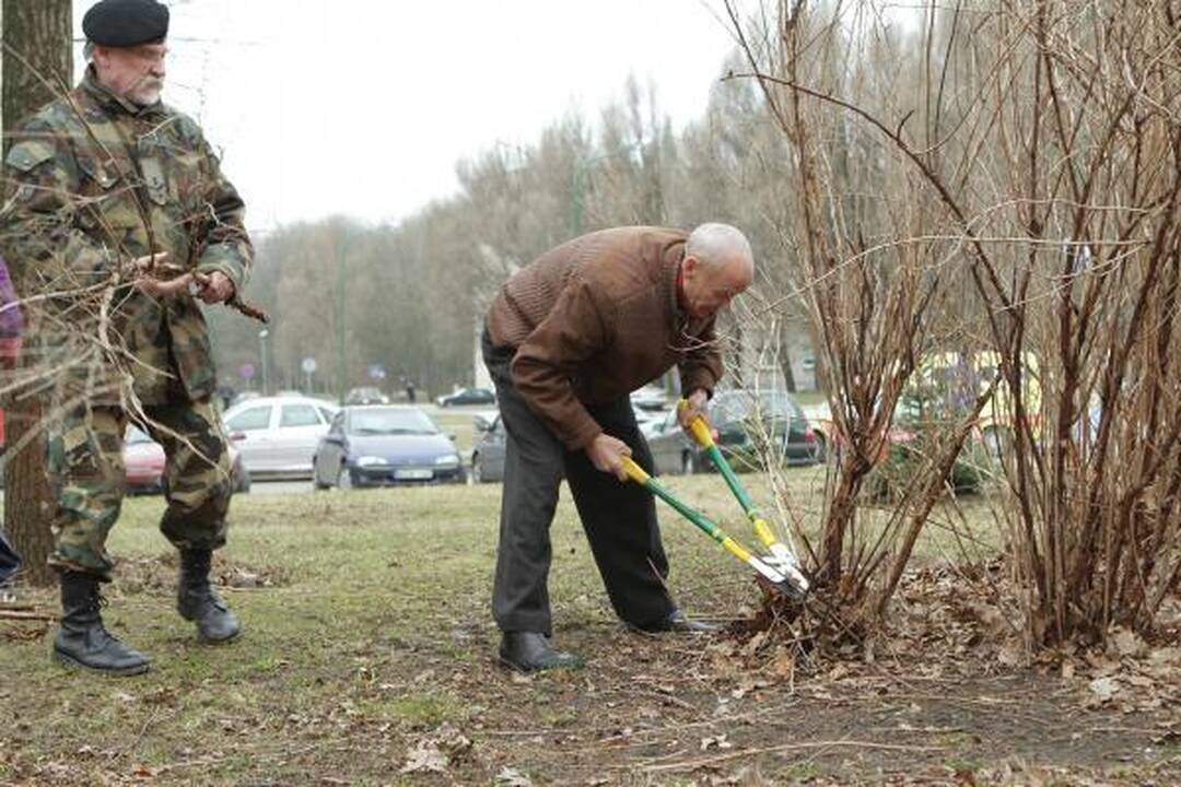 Darom 2011: Klaipėdoje plušo tūkstančiai žmonių