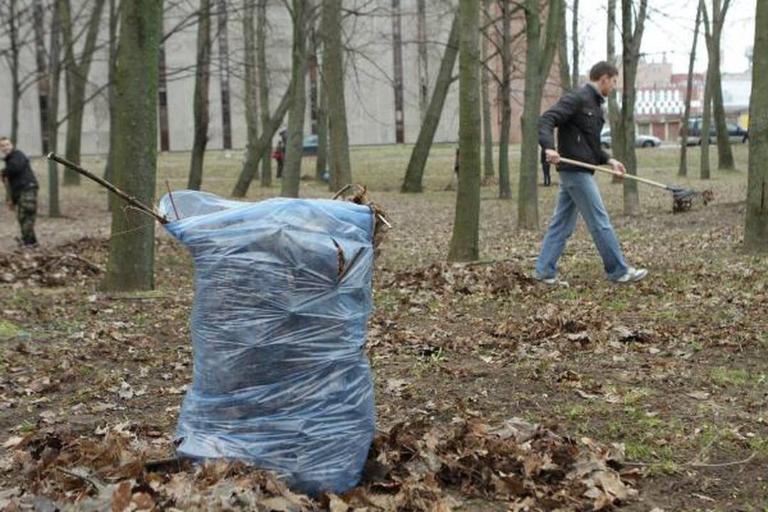 Darom 2011: Klaipėdoje plušo tūkstančiai žmonių