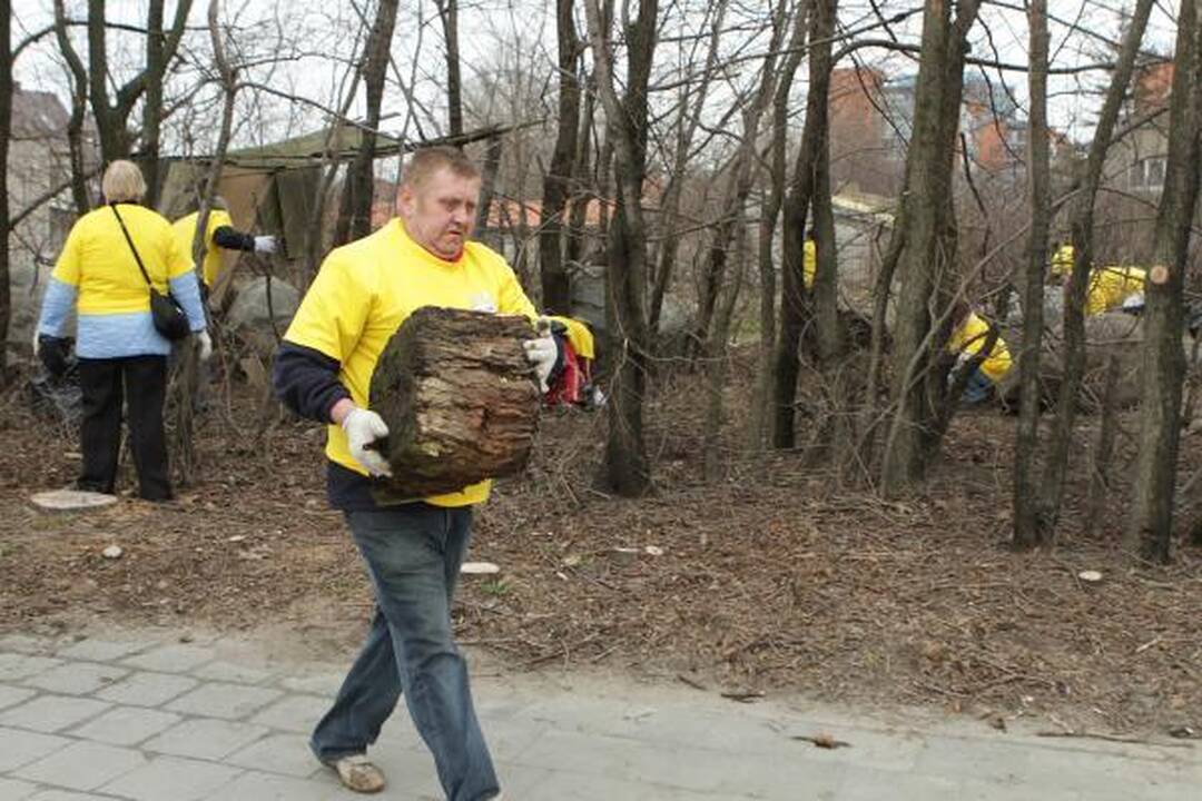 Darom 2011: Klaipėdoje plušo tūkstančiai žmonių