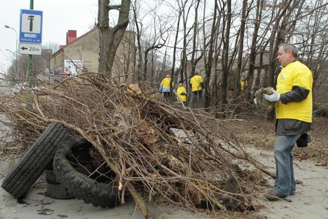 Darom 2011: Klaipėdoje plušo tūkstančiai žmonių