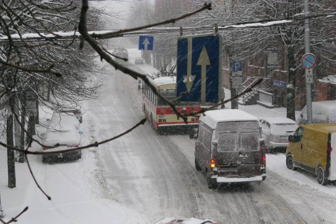 Balta žiema nuklojo miesto gatves