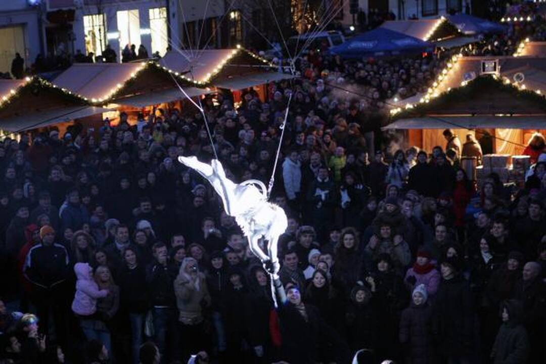Vilniuje suspindo Kalėdų eglės