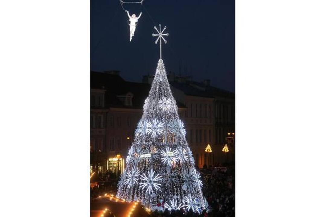 Vilniuje suspindo Kalėdų eglės