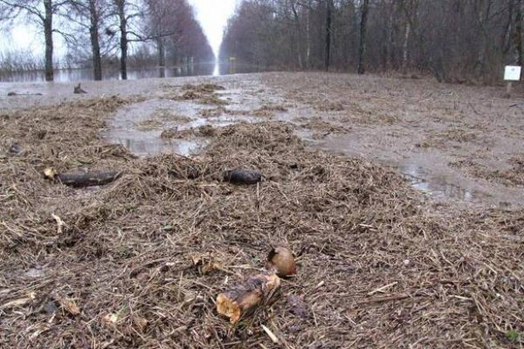 Pamaryje daugėja apsemtų sodybų 