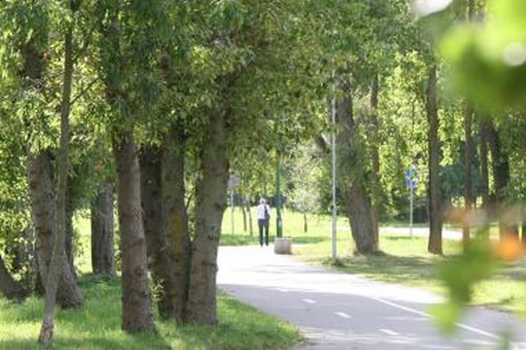Tvarkys Draugystės parką