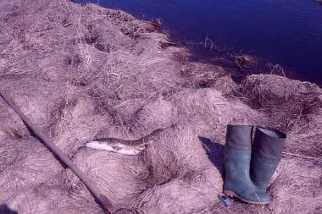 Šalčininkų r. brakonierius nuo pasieniečių spruko basas