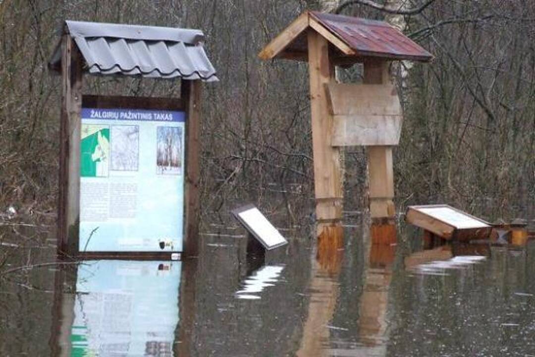 Pamaryje daugėja apsemtų sodybų 