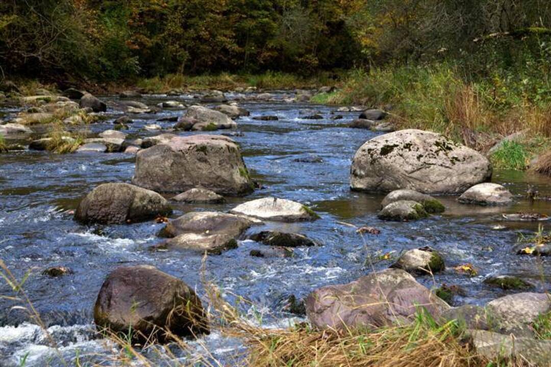 Žygis vandeniu Pagramančio regioniniame parke