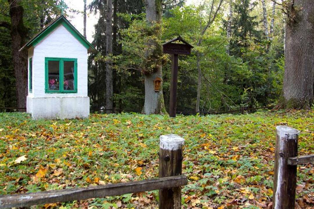 Žygis vandeniu Pagramančio regioniniame parke