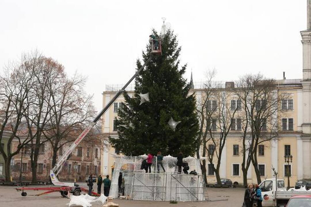 Pagrindinė Kauno eglutė jau puošiama