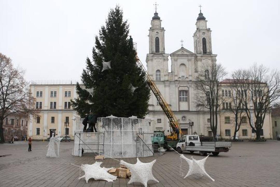 Pagrindinė Kauno eglutė jau puošiama