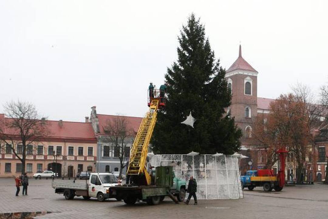 Pagrindinė Kauno eglutė jau puošiama