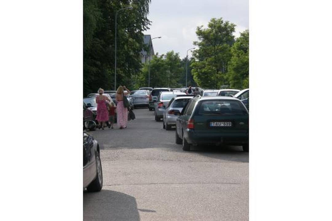 Muzika užtvindė Kulautuvos pušyną