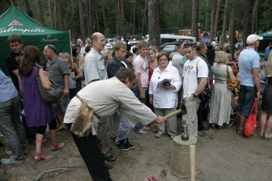 Muzika užtvindė Kulautuvos pušyną