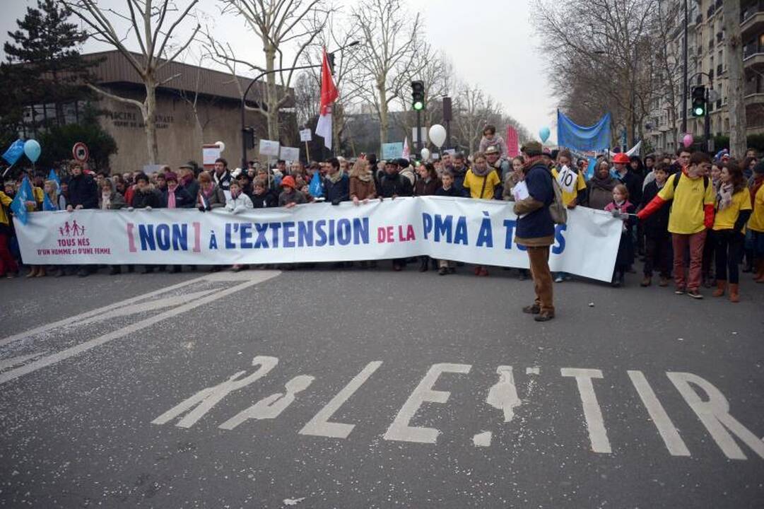 Prancūzijos gėjų santuokų priešininkai surengė demonstraciją