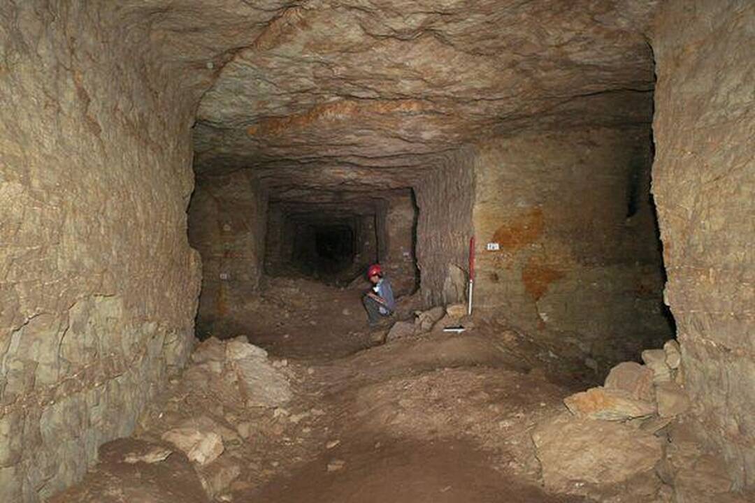 Egipte rasta milijonų šuniukų mumijos