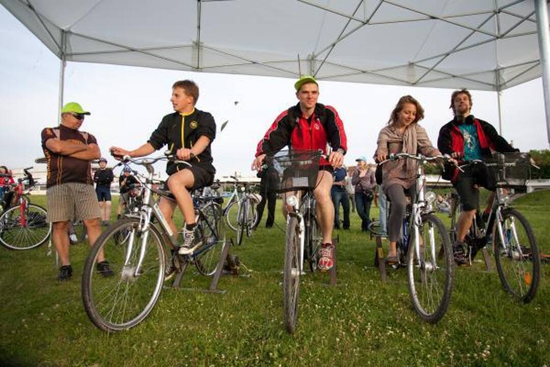Vėjo dieną Vilniaus dangų raižė aitvarai