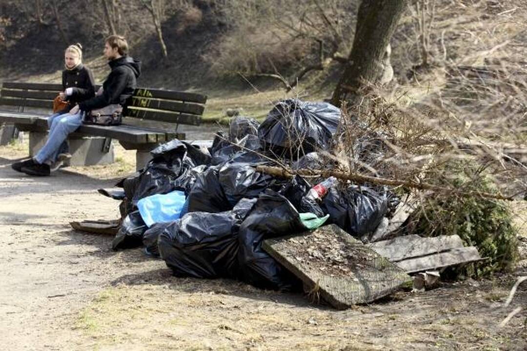 Deivis ir Renata: mes tvarkomės kasdien