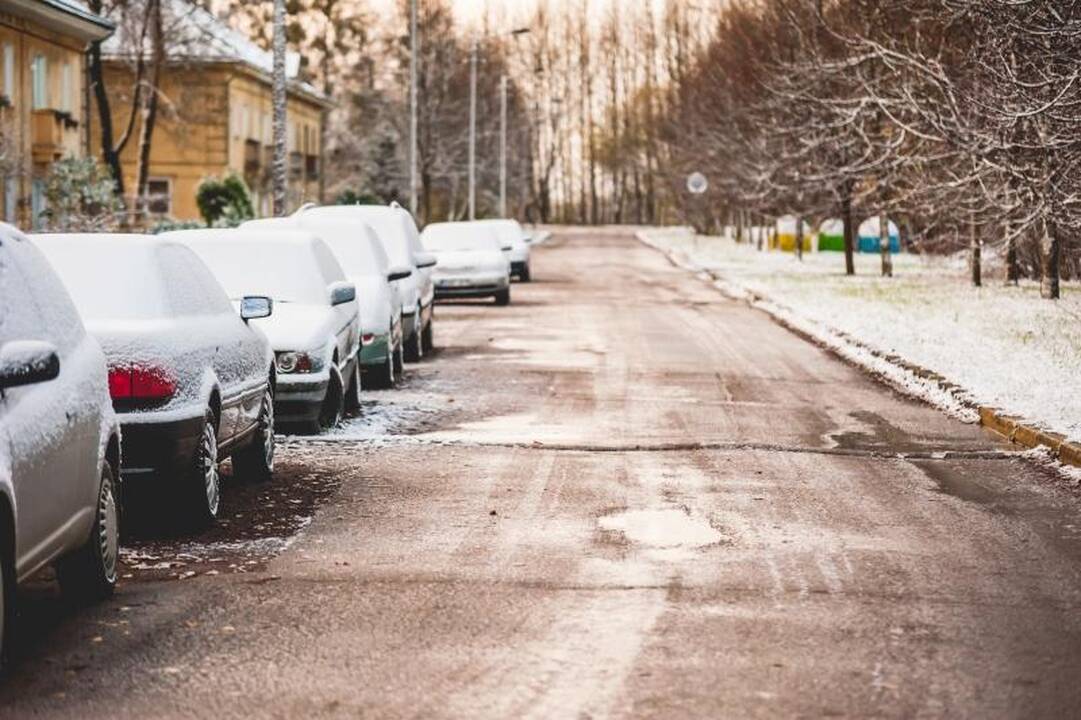 V.Tomaševskis rinkimuose dalyvavo, bet savivaldybėje nedirbs