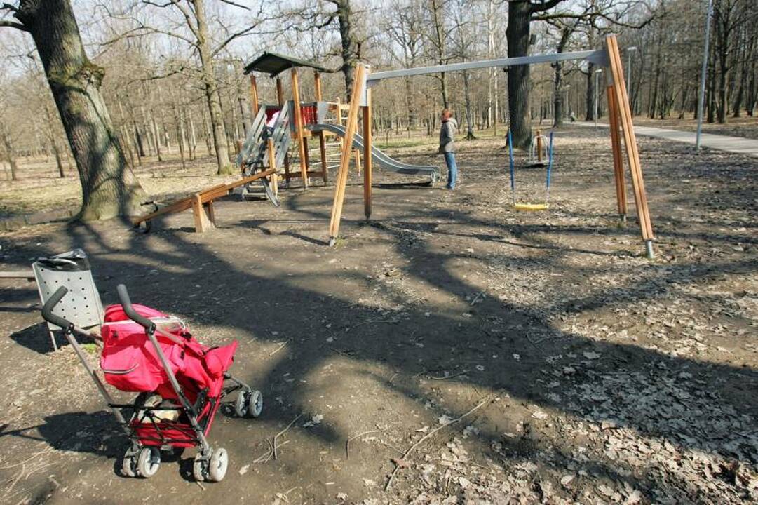 „Lietuvos metų moters“ titulas – N.Čereškevičienei