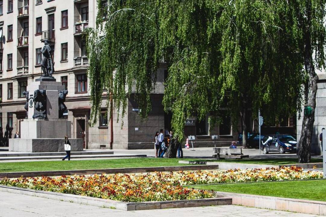 Miesto gėlynus                 niokoja vagys