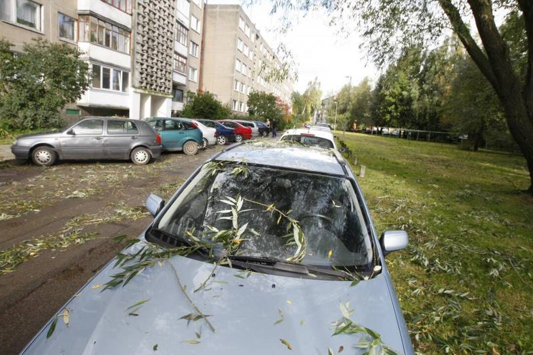 Apklausa: kaip klaipėdiečiai ruošiasi artėjančiam štormui? (foto)