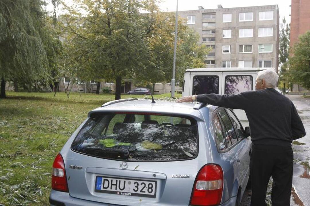 Apklausa: kaip klaipėdiečiai ruošiasi artėjančiam štormui? (foto)