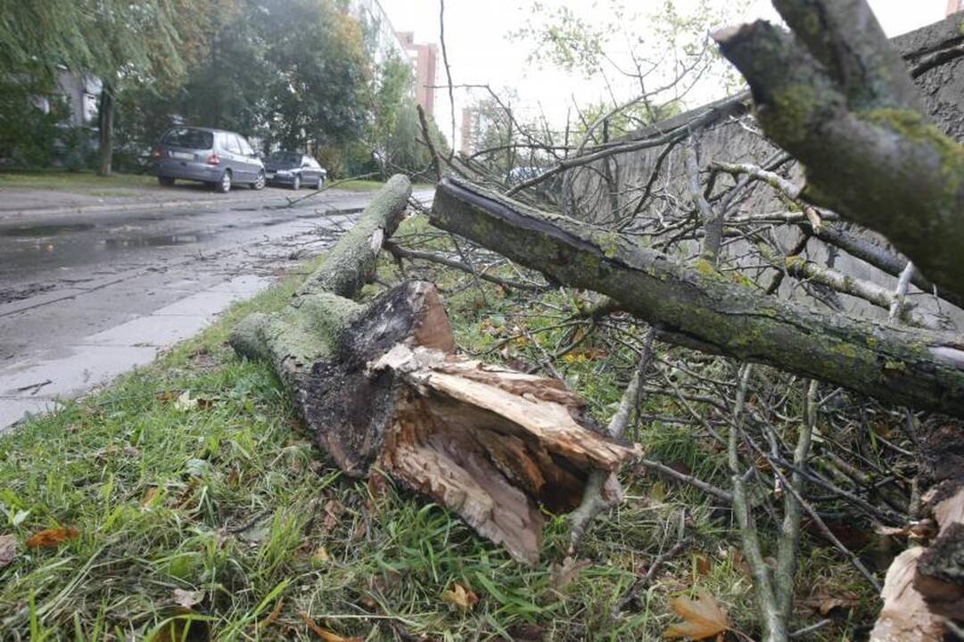 Apklausa: kaip klaipėdiečiai ruošiasi artėjančiam štormui? (foto)