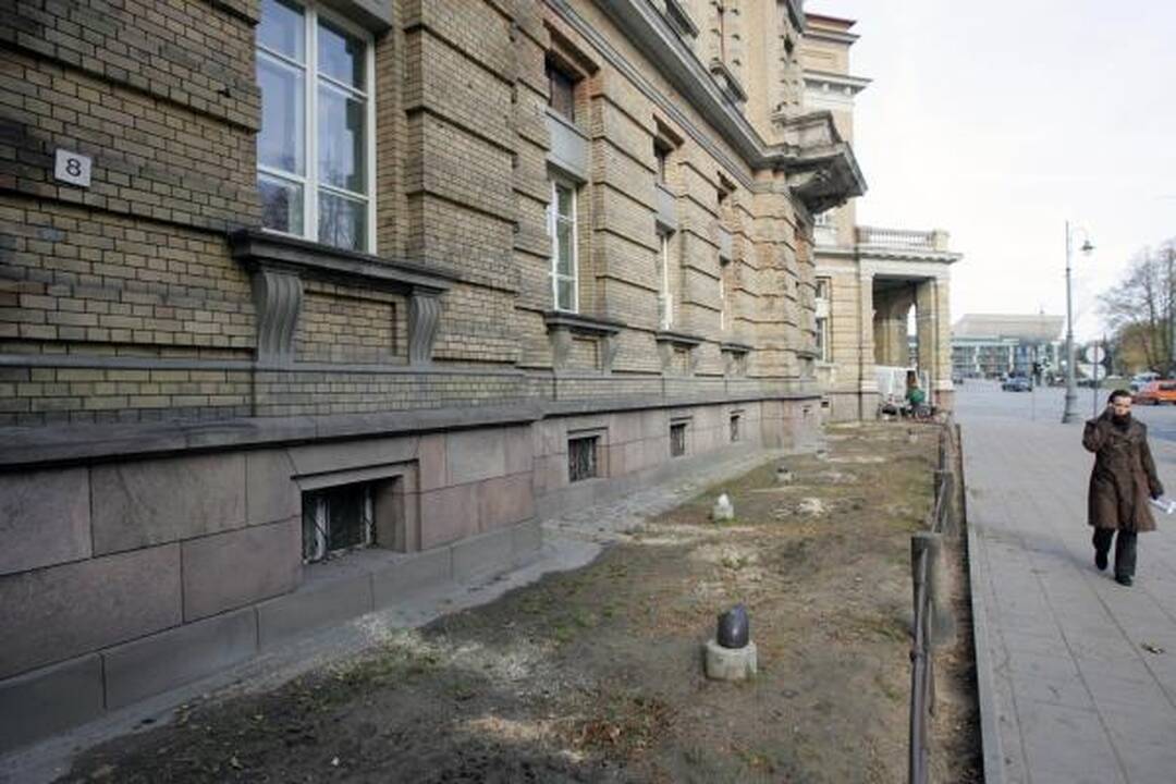 Vilnių ir žiemą puoš žydinčios gėlės
