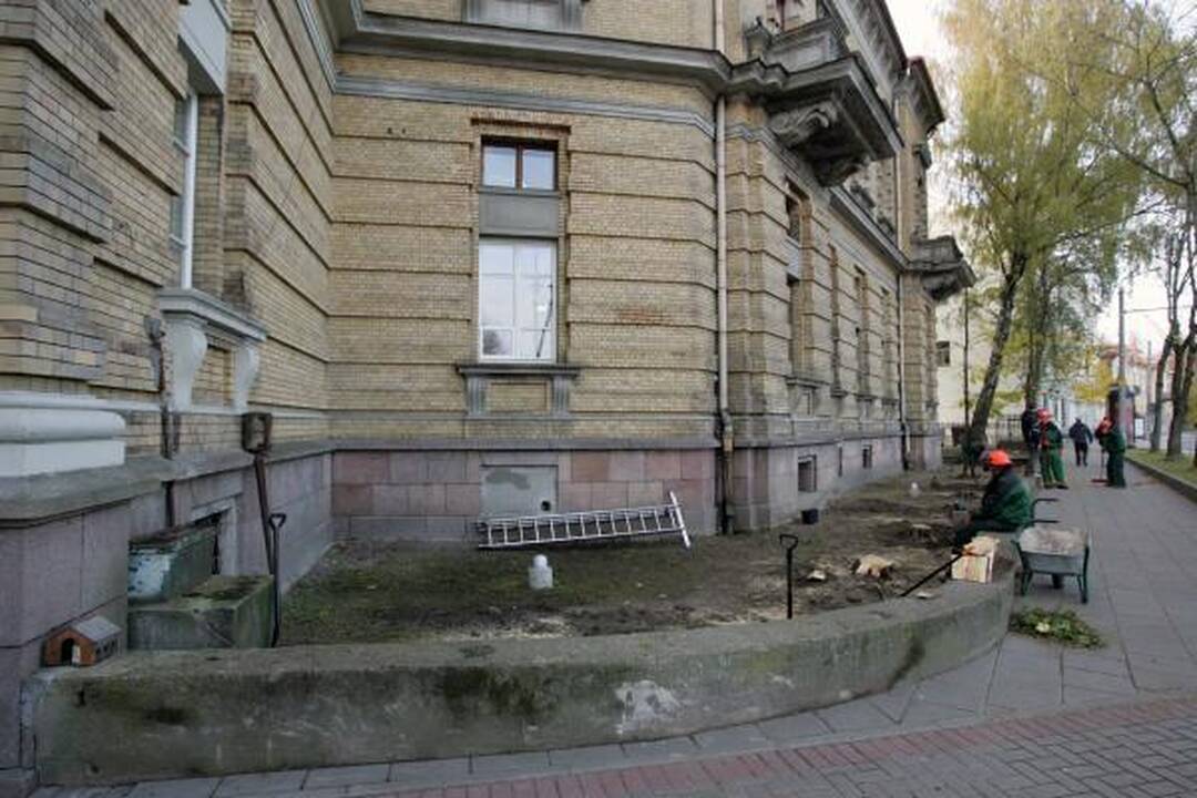 Vilnių ir žiemą puoš žydinčios gėlės