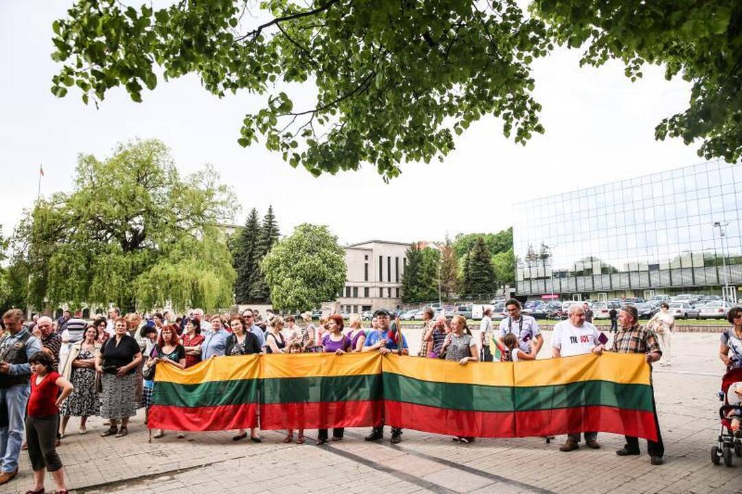 Vienybės aikštėje mitinguotojai smerkė pedofilų gynėjus