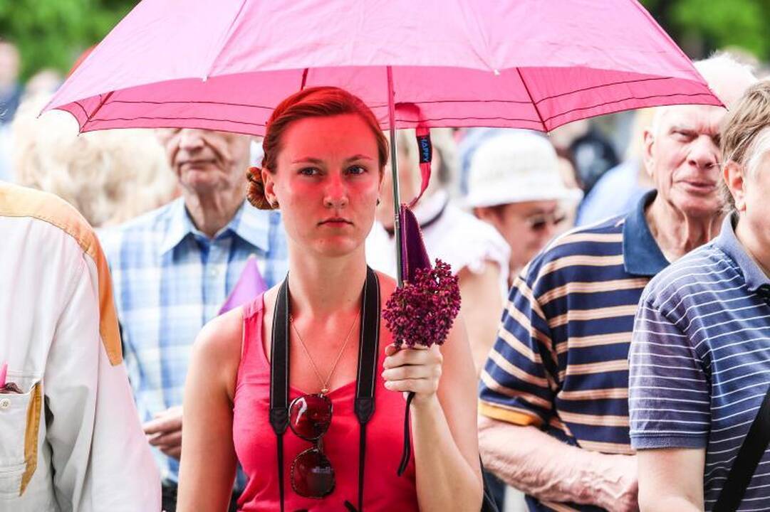 Vienybės aikštėje mitinguotojai smerkė pedofilų gynėjus