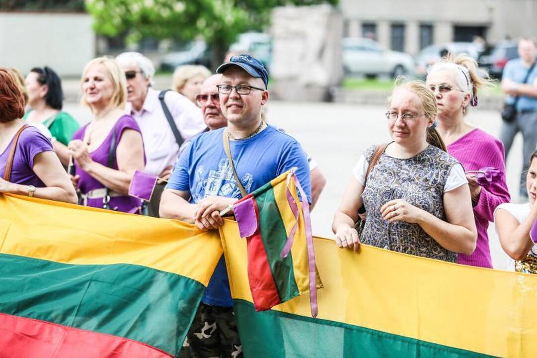 Vienybės aikštėje mitinguotojai smerkė pedofilų gynėjus