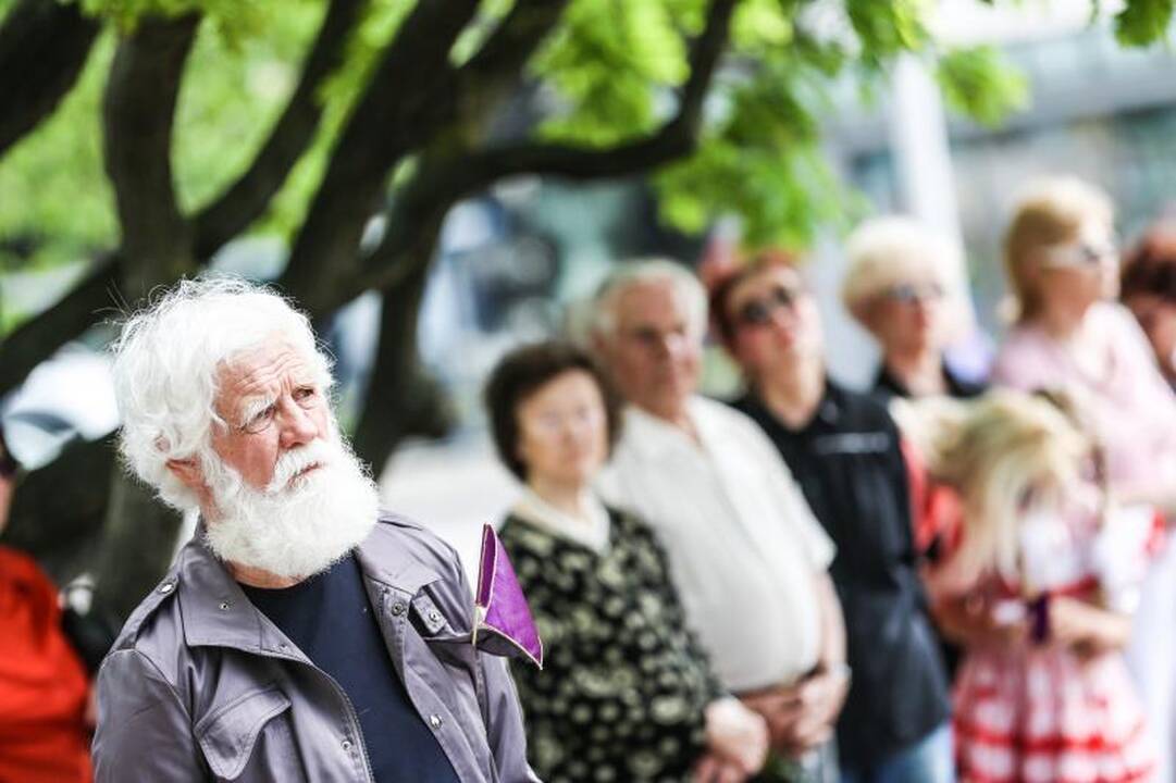 Vienybės aikštėje mitinguotojai smerkė pedofilų gynėjus