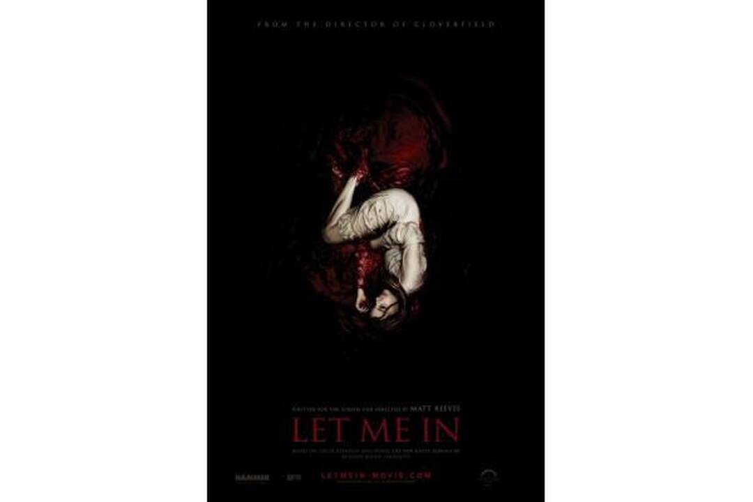 Geriausių 2010-ųjų filmų plakatų dešimtukas