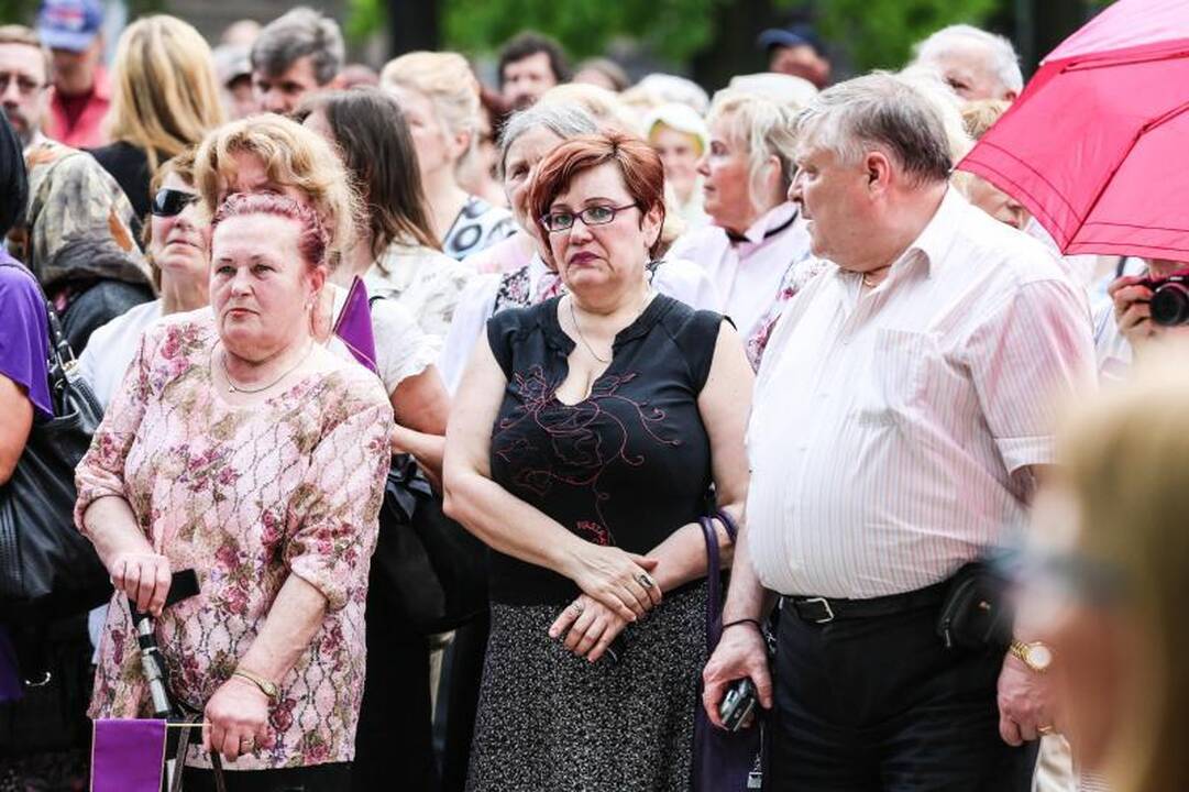 Vienybės aikštėje mitinguotojai smerkė pedofilų gynėjus