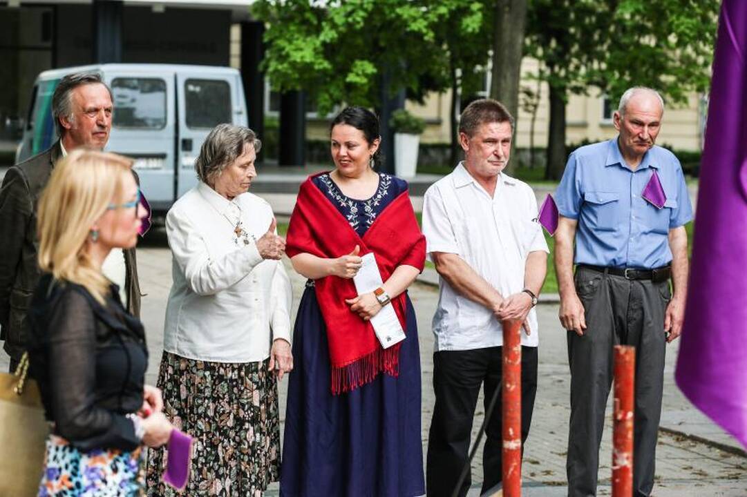 Vienybės aikštėje mitinguotojai smerkė pedofilų gynėjus