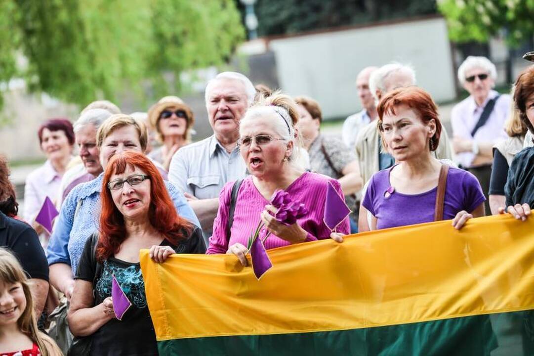 Vienybės aikštėje mitinguotojai smerkė pedofilų gynėjus