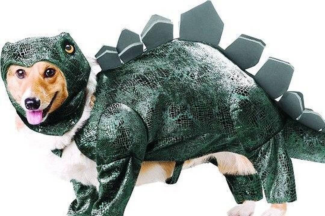 Nauji kostiumai šuniukus paverčia dinozaurais