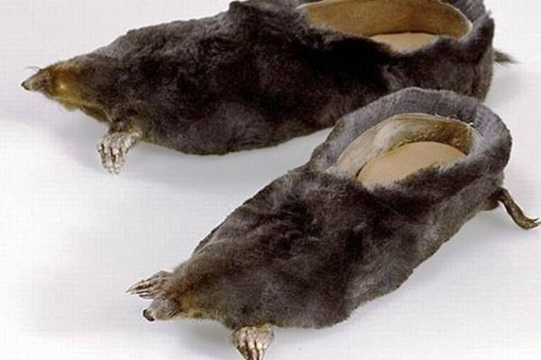 Išdarkytos gyvūnų iškamšos