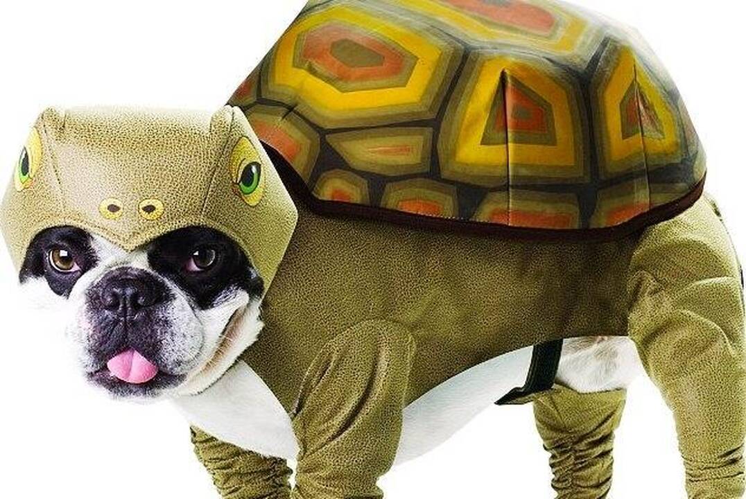 Nauji kostiumai šuniukus paverčia dinozaurais