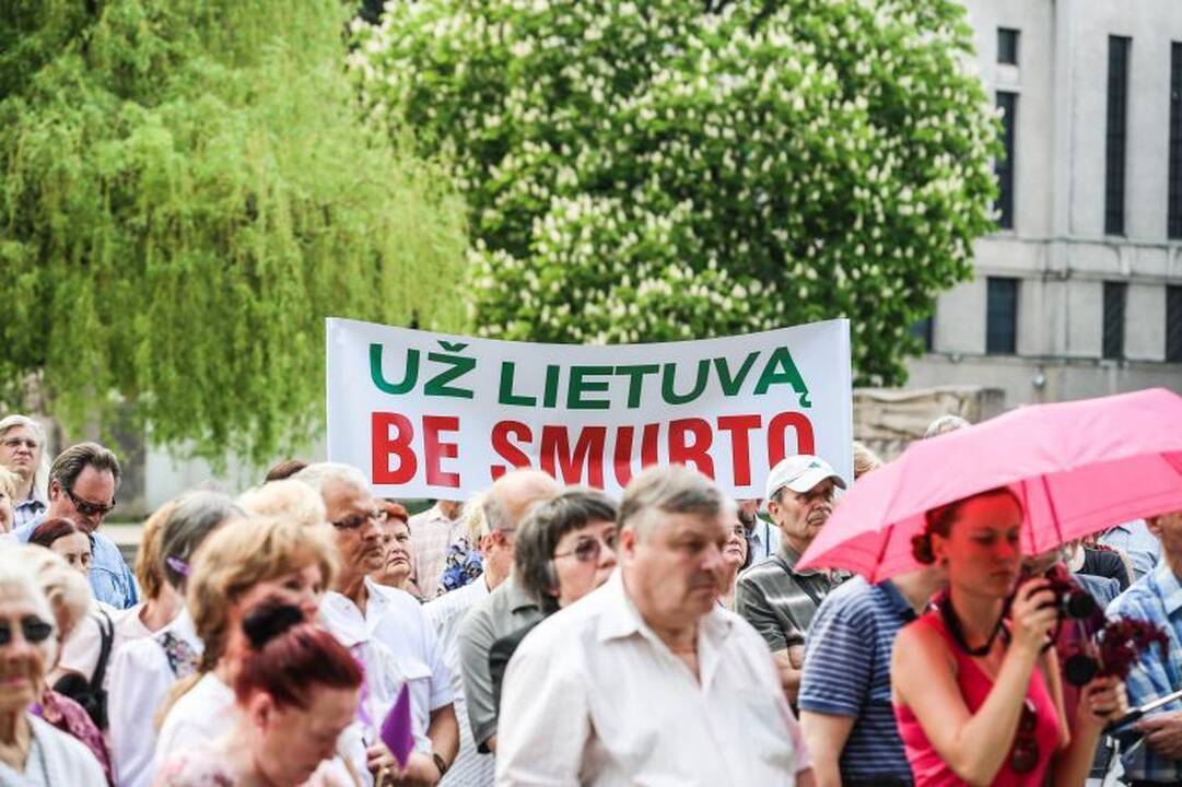 Vienybės aikštėje mitinguotojai smerkė pedofilų gynėjus