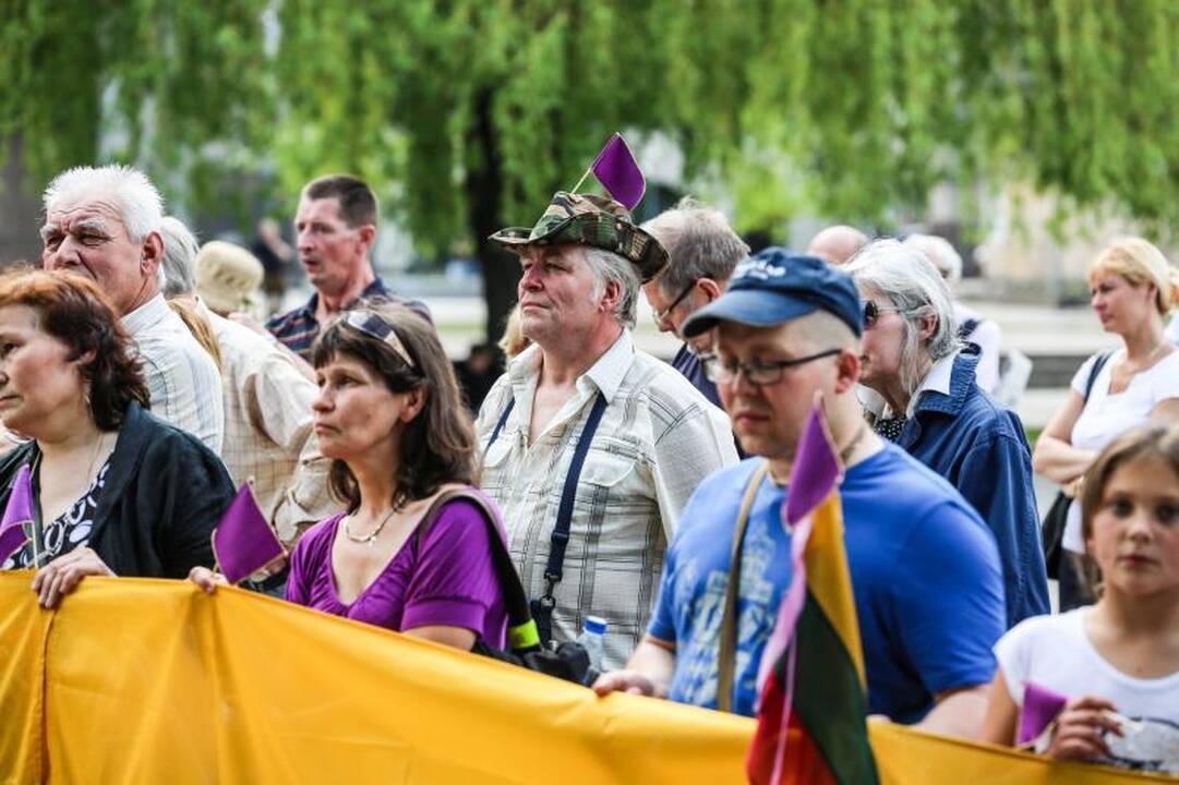 Vienybės aikštėje mitinguotojai smerkė pedofilų gynėjus