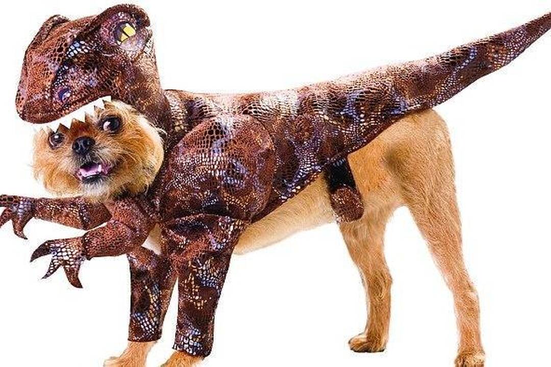 Nauji kostiumai šuniukus paverčia dinozaurais